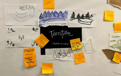 Harvesting with community: Visual thinking in action